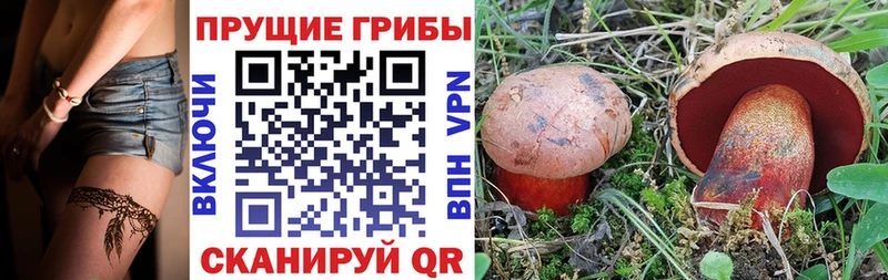 Псилоцибиновые грибы MAGIC MUSHROOMS  Севастополь 