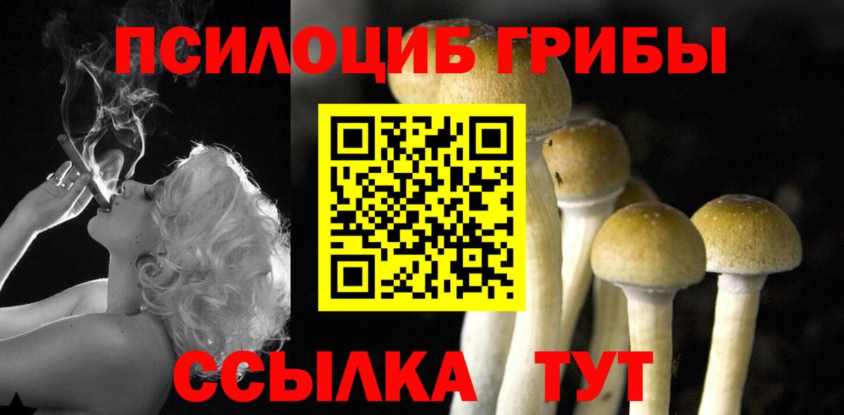 Галлюциногенные грибы Cubensis  Псилоцибиновые грибы Psilocybe  Севастополь  цена   Вход с VPN 